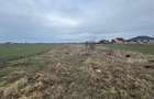 COMISION 0% | Teren intravilan | 2.790 mp | Front stradal 15 m | Șag - 2