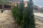 De vanzare casa noua finalizat in 2023 in Livezeni  5 camere+ living 4 bai - 1