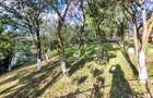 Casa de vanzare, 80 mp, teren 1903 mp, livada, sat Vechea-Chinteni - 7