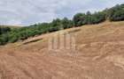 Teren intravilan | 2000 mp | Toate utilitatile | Micesti-Sard - 4