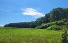 Oportunitate Unică! Teren de Vânzare aproape de Pădure – Ciolpani Izvorani - 1