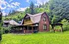Cabană – Mureș – Sălard – Zona Pensiunea Denisa - 2