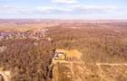Teren intravilan Măgurele langa padurea Cornetu si Arges - 2