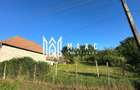 Casă tradițională I 100 mp utili I teren 1830 mp I Armeni I SIBIU - 11
