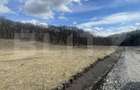 Teren extravilan de vanzare, 2,4 hectare, zona drumul Tarpiului - 2
