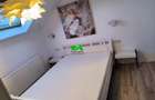 Casa individuala acces auto Sibiu Sura Mare - 3