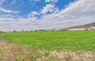 Teren extravilan, 1 ha, în orașul Sebiș, Arad - 2