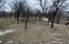 Teren 4652 mp cu izvor pe el, Lunca Mare, lângă păstrăvăria Doftana - 10