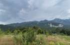 Teren intravilan, 1.724 mp, zona Sinaia - 14