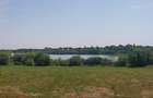 Proprietate frumoasa si rara cu deschidere la lac!La 30 km de Bucuresti - 7
