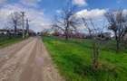 DE VANZARE TEREN 3400 MP IN SAT PODU ILFOVAT / COM BUTURUGENI (GR) - 8