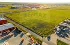 Teren 10,000mp Arad / DJ 682 - 6