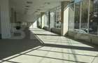 Spatiu comercial, 300 mp, zona Valea Rosie - 6