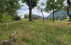 Teren intravilan cu vedere panoramica Sacele, Brasov - 13