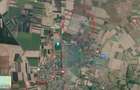 Teren extravilan de vanzare, Biharia 1 hectar, Bihor - 1
