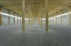 Inchiriere depozit/hala/spatiu industrial Otopeni - Centura - 28