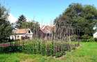 Casa 3 camere, teren 3625 mp, toate utilitatile, Sacele, Brasov - 6