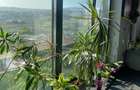 Penthouse de inchiriat in Borhanci, terasa generoasa - 12