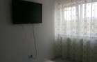 Apartament 2 camere zona Pepinierii - 2