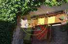 Apartament cochet cu 3 camere la curte comuna - 7
