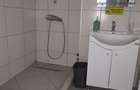 Doua apartamente vecine in vila istorica langa Cismigiu - 9