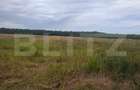 Teren de vânzare, 2.500 mp, Suta Olteni