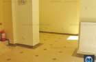 Spatiu  birouri de vanzare, zona Ultracentral, 490 mp #8133 - 3