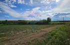 Teren extravilan 12000 mp- Pădureni-Șendriceni, Botoșani - 4