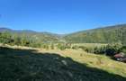 Teren intravilan, 21.000 mp, Zona Intre Barse, spre Plaiul Foii, Zarnesti