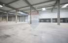 Hala de vanzare, Sc 7014mp, Zona Biharia - 15