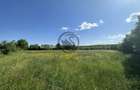 Teren intravilan de vanzare | 11.000 mp | Ghirdoveni | Comision 0% - 9