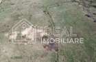 Teren 25.500 mp Valea Avrigului - 4