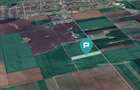 Teren 30.000 mp cu acces asfaltat – Peciu Nou - 2
