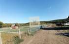 Teren intravilan 3500 mp zona Hamba - 5