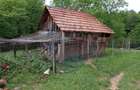 Vanzare casa  4 camere-microferma, cu panouri fotovoltaice - 29