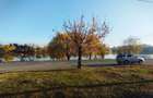 VAND TEREN INTRAVILAN 300 MP CU 2 DESCHIDERI LANGA LACUL TEI - 4