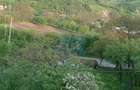 Vanzare sau Schimb! Central Drajna de Jos 5000 mp - 4