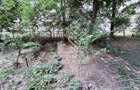 Apartament cu o camera parter Blascovici - 6