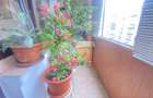 3 Camere-Decomandat-70 mp-Etaj Intermediar-Metrou Tineretului - 12