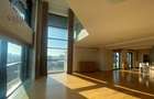 PENTHOUSE 310 mp PIPERA-FABRICA DE GLUCOZA - 5