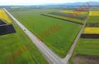 Teren extravilan de vânzare pe DN13E, vis-a-vis de intersecția spre Angheluș! - 4