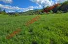 Teren extravilan de vânzare în Sita Buzăului – Zăbrătău! - 5