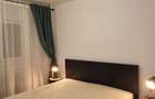 Inchiriere Apartament 2 camere Decomandat Dristor - 9