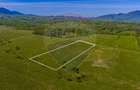 Teren 1ha, extravilan Rasnov / Agricultură sau fermă/ COMISION 0% - 2