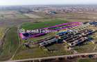 Teren 1.15 HA lângă Autostrada – Nădlac | clădiri+utilități - 2
