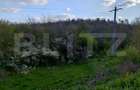 Teren padure 10 ha, extravilan, 400 ml deschidere, stradal, zona Breasta - 3