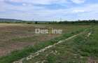 Teren Extravilan de Vânzare – Mărăcineni, Sat Argeșelu - 7