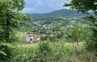 Teren intravilan 5360mp Bistrita Nasaud | Tiha Bârgăului - 4