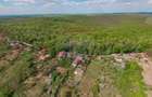De vânzare casă și teren 1.425 mp - Podgoria - 13