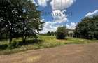 Dumbravita Teren Intravilan 1466mp Front 29m | Langa Padure - 3